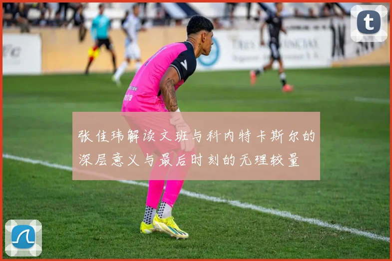 张佳玮解读文班与科内特卡斯尔的深层意义与最后时刻的无理较量