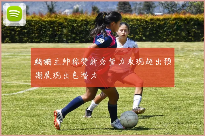 鹈鹕主帅称赞新秀努力表现超出预期展现出色潜力